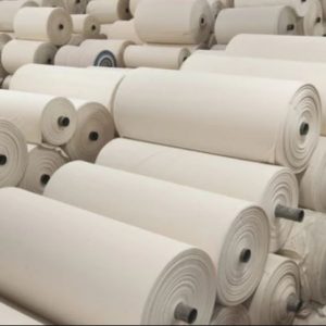 Greige Fabric What Makes it Stand Out
